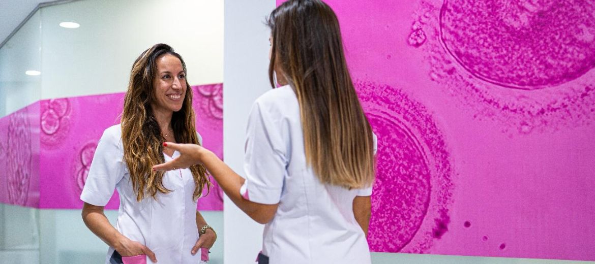 que pruebas medicas se hacen para poder donar ovulos